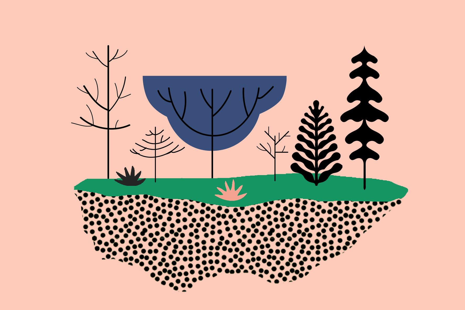 grafika | na łososiowym tle schematycznie narysowane różne formy drzew i ziemia oraz ściółka leśna