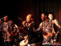 Mothema Africa