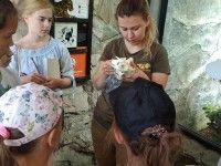 Pani Beata opowiada o panterach mglistych