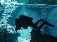 Afrykarium | czas czyszczenia akwariów