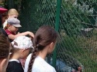 Wakacyjne safari | dzień 4
