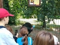 Wakacyjne safari | dzień 4