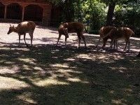 Wakacyjne safari | dzień 4
