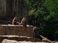 Wakacyjne safari | dzień 4