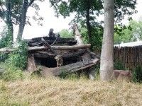W zagrodzie wilków