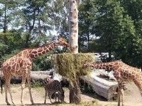 Wakacyjne safari | dzień 1