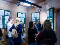 Wakacyjne safari | wernisaż poplenerowej wystawy w Afrykarium
