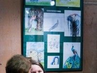 Wakacyjne safari | wernisaż poplenerowej wystawy w Afrykarium