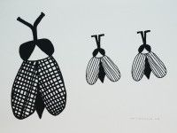 aut. Nina Tomaszewska