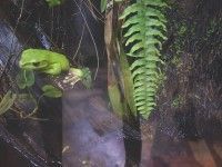 Z wizytą w terrarium