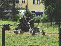 Wakacyjne safari