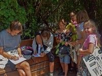W ogrodzie japońskim