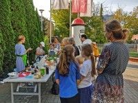 Wszystkie receptury można sprawdzić w otrzymanych przepisach.