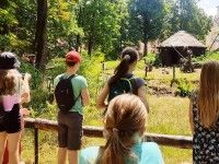 Przy wybiegu okapi