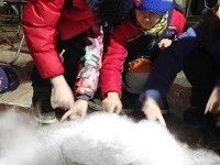 Pokaz 