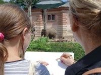Uwagi pani Hani mile widziane