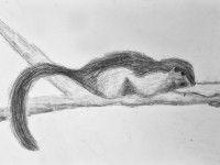 aut. Emilka Sierny