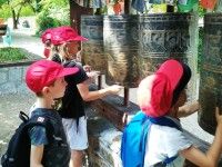 IMG_20230704_112647