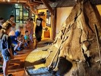 Zajęcia w Muzeum Archeologicznym