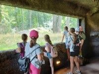 Ostoja wilków