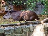 Model idealny, ma cierpliwośc do pozowania