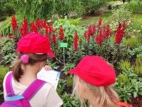 Z wizytą w Ogrodzie Botanicznym