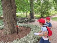 Z wizytą w Ogrodzie Botanicznym