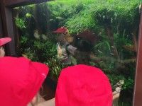 Z wizytą w Ogrodzie Botanicznym