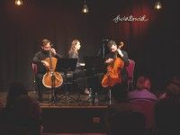 Konrad Bargieł, Marta Plasota-Bargieł, Michał Koziński