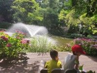 Odwiedzamy Ogród Botaniczny