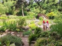 Odwiedzamy Ogród Botaniczny