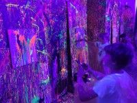 Studio Pigcasso, warsztaty fluorescencyjne
