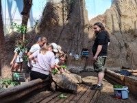 ZOO; spotkanie z opiekunem gadów