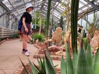 Wizyta w Ogrodzie Botanicznym