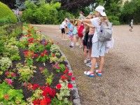 Wizyta w Ogrodzie Botanicznym