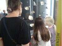 W Muzeum Geologicznym