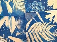 Letnie cyjanografie
