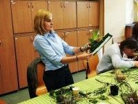 Katarzyna Nawrot