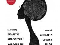 Kolografie | wystawa prac Katarzyny Niedźwieckiej | 2017